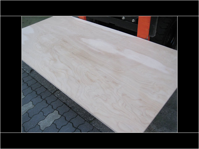 白樺間伐材合板